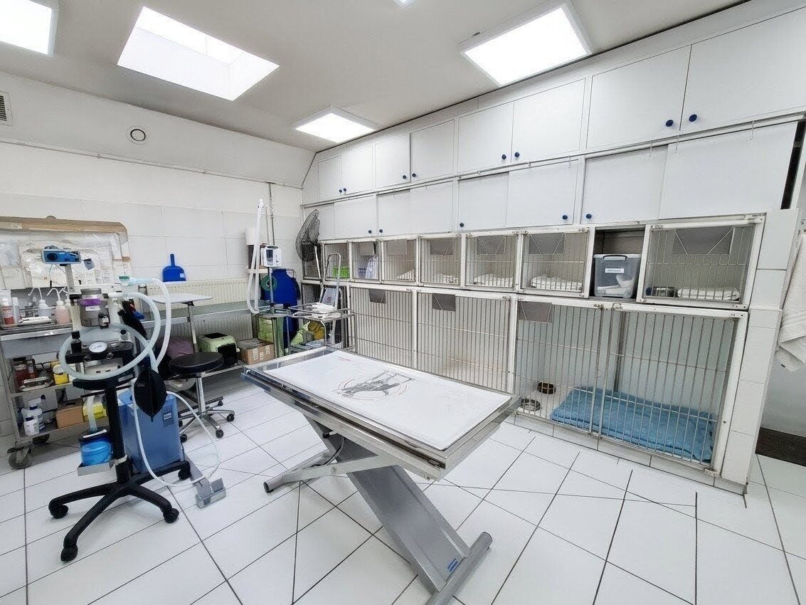 Salle de soins avec chenil